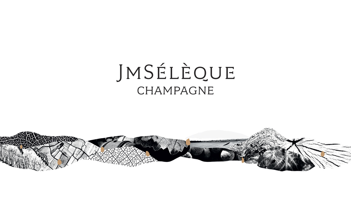 Logo Champagne JMSélèque vigneron à Pierry