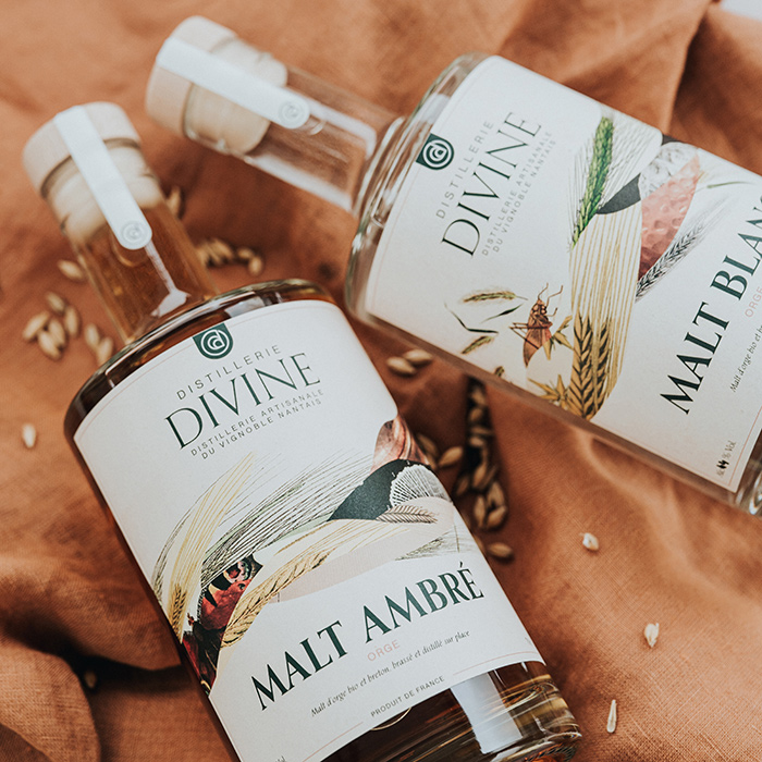 Étiquettes de malts, Distillerie Divine par Antoine Gadiou, graphiste