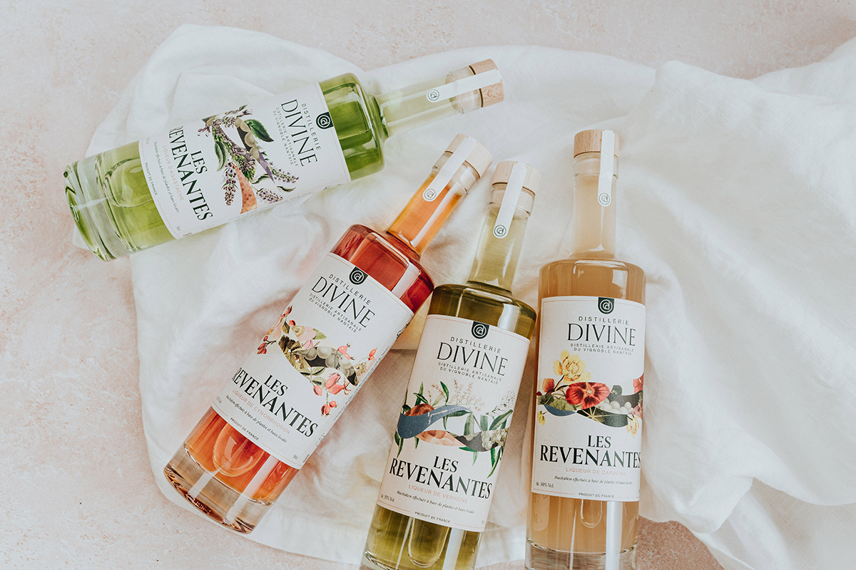 Gamme liqueurs les Revenantes, Distillerie Divine, Antoine Gadiou