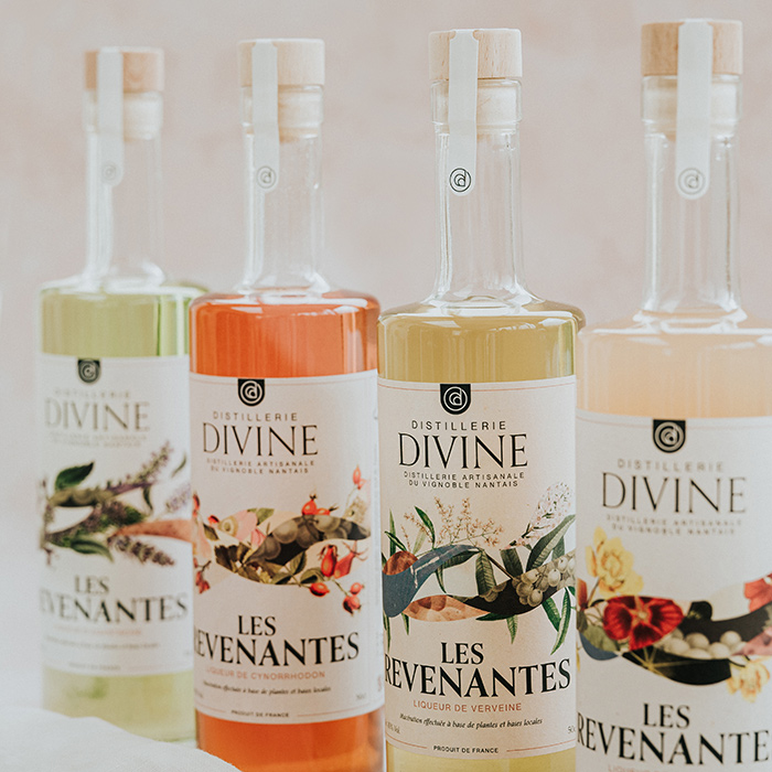 Gamme de liqueurs Les Revenantes, Distillerie Divine à Vallet